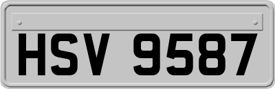 HSV9587