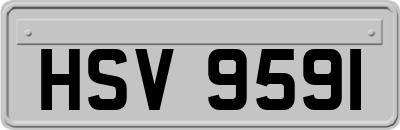 HSV9591