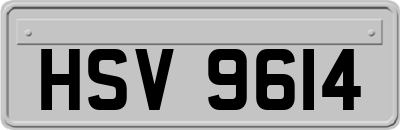 HSV9614