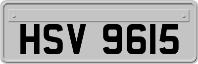 HSV9615