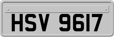HSV9617