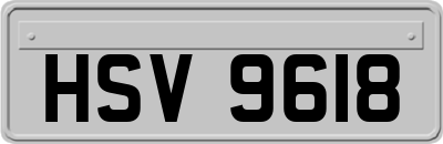 HSV9618