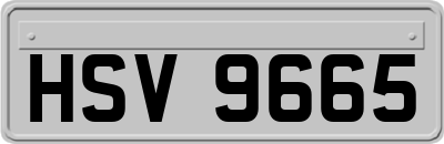 HSV9665