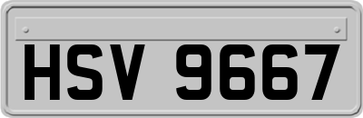 HSV9667
