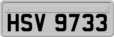 HSV9733