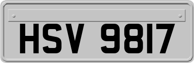 HSV9817