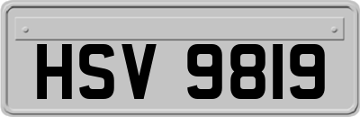 HSV9819