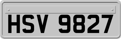 HSV9827