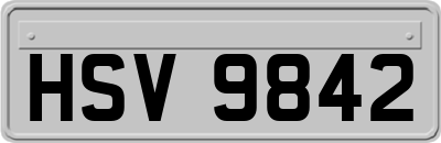 HSV9842