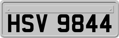 HSV9844