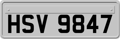 HSV9847