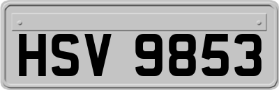 HSV9853