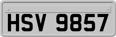 HSV9857