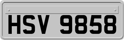 HSV9858