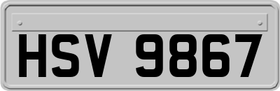 HSV9867