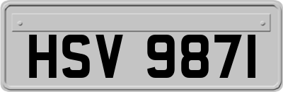 HSV9871