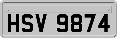 HSV9874