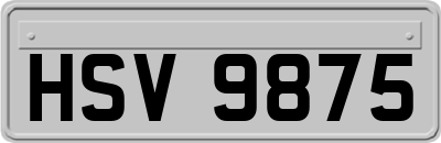 HSV9875