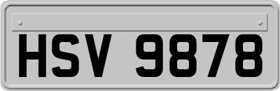 HSV9878
