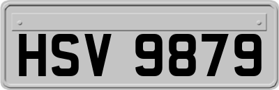HSV9879