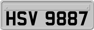 HSV9887