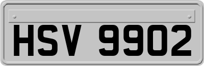 HSV9902