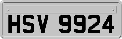 HSV9924