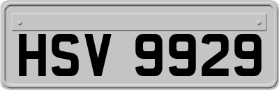 HSV9929