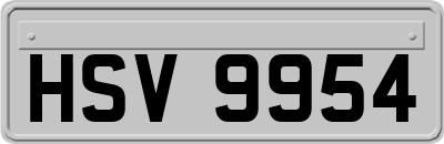 HSV9954