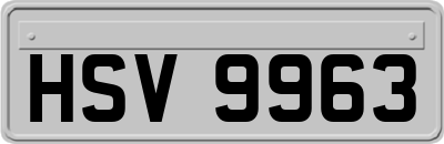 HSV9963