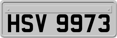 HSV9973