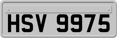HSV9975