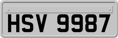 HSV9987