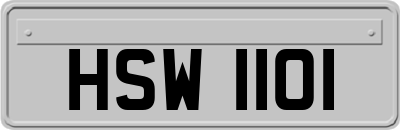 HSW1101