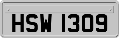 HSW1309