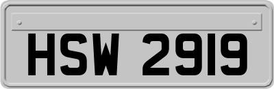 HSW2919