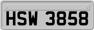 HSW3858