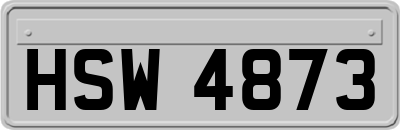HSW4873