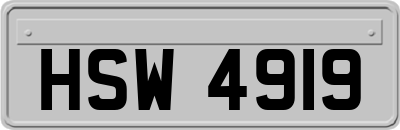 HSW4919