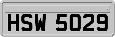 HSW5029