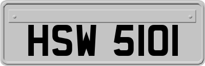 HSW5101