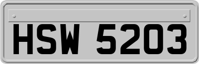 HSW5203