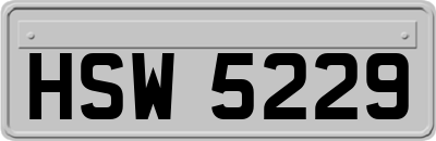 HSW5229