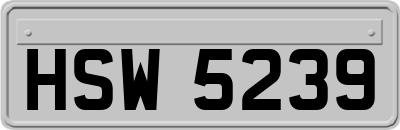 HSW5239