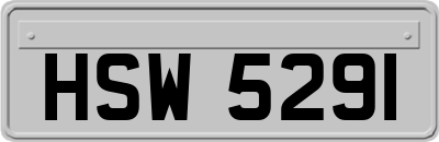 HSW5291