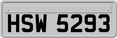 HSW5293