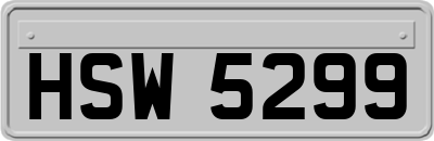HSW5299