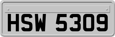 HSW5309