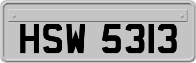HSW5313