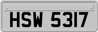HSW5317